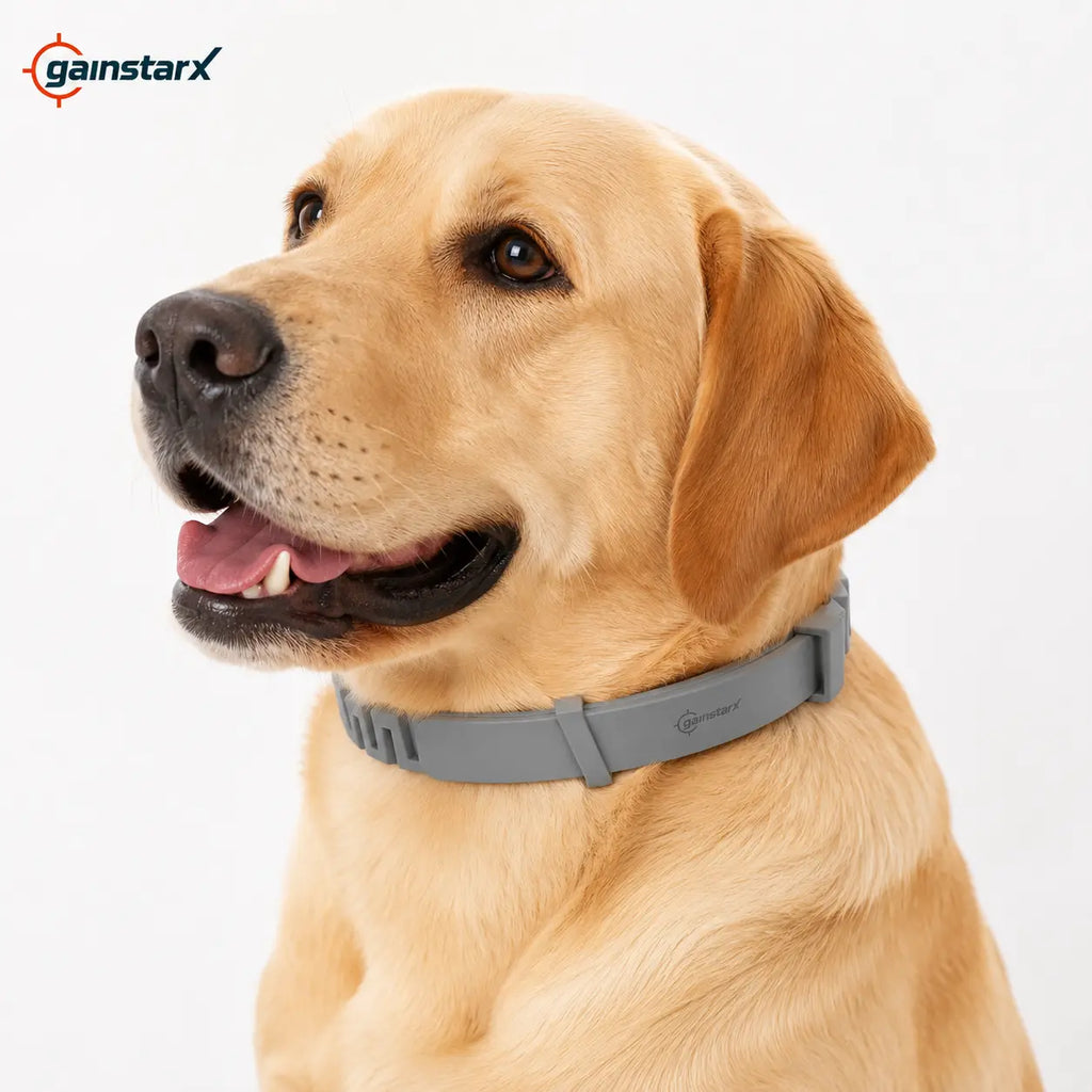 Gainstarx Adjustable Dog Collar – Comfortable Daily Wear for Large Dogs