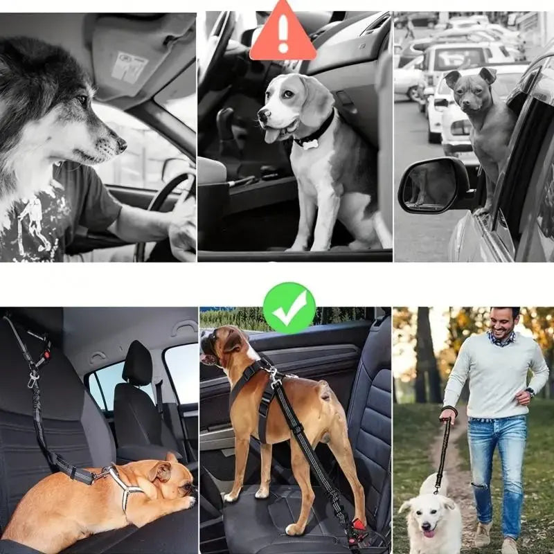 2-Pack Pet Car Seat Belt Dog Leash – Adjustable Safety Tether with Bungee Buffer