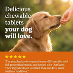 OurCares Flea & Tick Chews Supplement Jar