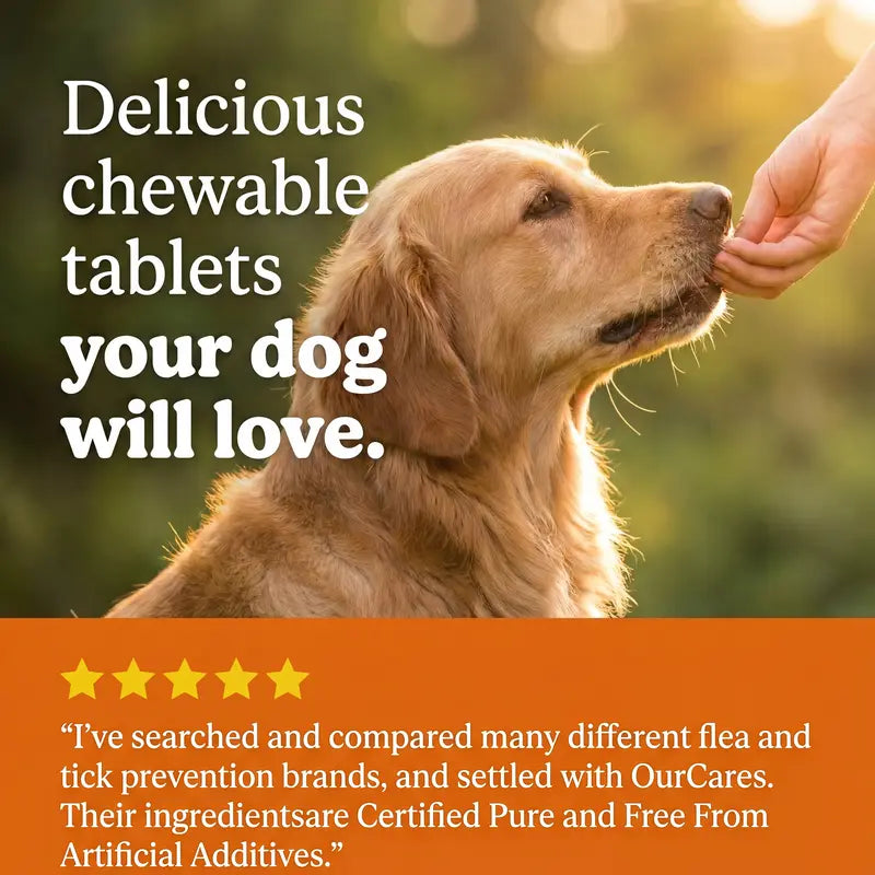 OurCares Flea & Tick Chews Supplement Jar