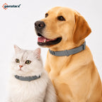 Gainstarx Adjustable Dog Collar – Comfortable Daily Wear for Large Dogs