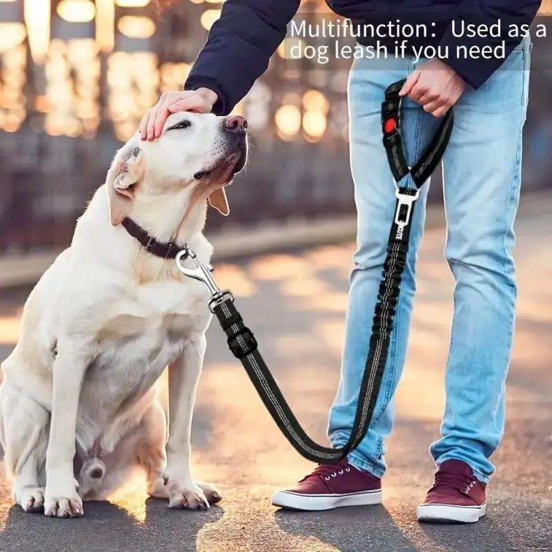 2-Pack Pet Car Seat Belt Dog Leash – Adjustable Safety Tether with Bungee Buffer