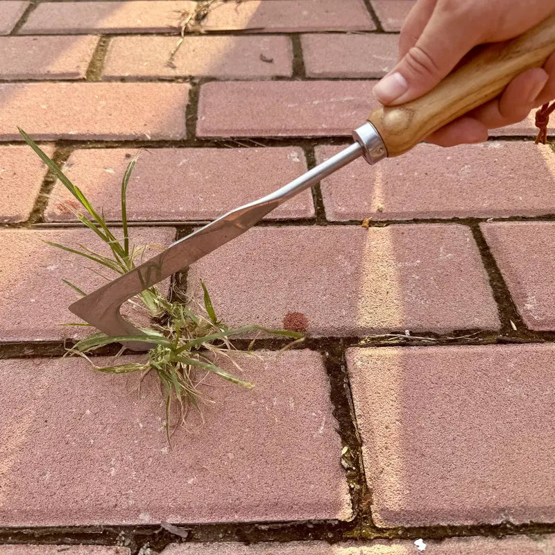 Crevice Weeding Tool - Stainless Steel Manual Weed Puller with Beech Wood Handle